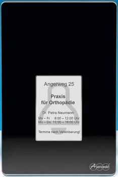 Auerswald TFS-Dialog 400 Zugriffskontroll-Terminal mit Fingerabdruck-Leseger&auml;t, Schwarz (90061)