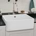 Villeroy & Boch Spülstein 60 X