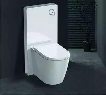 Glasdeals Sanit&auml;rmodul f&uuml;r Stand-WC, Wei&szlig;glas, inkl. Bet&auml;tigungsplatte (6226)