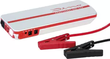 Dino-Kraftpaket Kraftpaket 136102