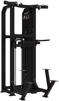 Tunturi Platinum Dual Assisted Chin-Up/Dip Kraftstation (42038031)