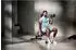 Adidas Utility Bench mit Bizeps-Curlpult & Beincurler (ADBE-10301)