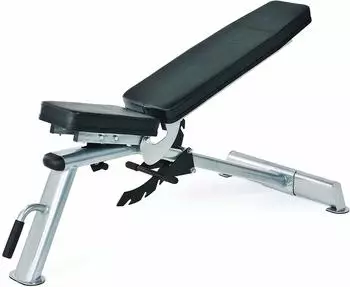 Horizon Fitness Adonis