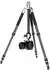 Rollei Lion Rock Traveler S silber