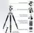 Rollei Lion Rock Traveler S silber