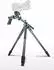 Vanguard Alta Pro 2+ 263CGHT