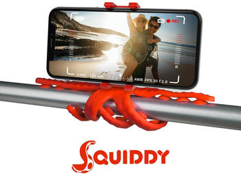 Celly Squiddy rot