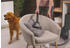 Hoover HP321PAF