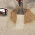 LIVINGTON SpotBlast M36547