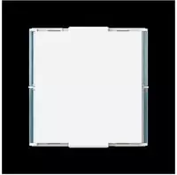 Busch-Jaeger 20EUCB2USBAC-84, Busch-Jaeger 20EUCB2USBAC-84 SCHUKO