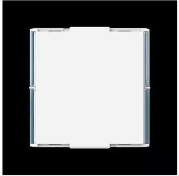 Busch-Jaeger SCHUKO&reg;- USB-Steckdose EUCB2USBAC-84