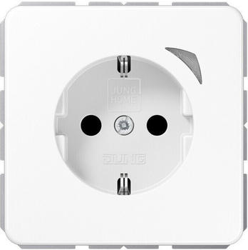 Jung BTCD1521SWW