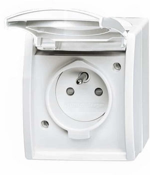 Busch-Jaeger 20 MW-54-500 Steckdose mit Erdungsstift