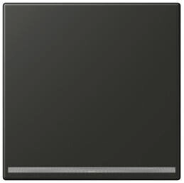 Jung AL1539-OOANLNW LED-Orientierungslicht ohne Helligkeitssensor Thermoplast lackiert Serie LS anthrazit AL1539OOANLNW