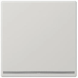 Jung LS1539-OOLGLNW LED-Orientierungslicht ohne Helligkeitssensor Thermoplast Serie LS lichtgrau LS1539OOLGLNW
