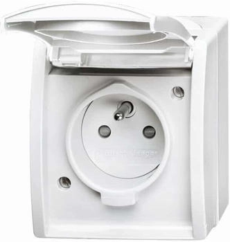 Busch-Jaeger 23 MWKS-54-504 Steckdose mit Erdungsstift
