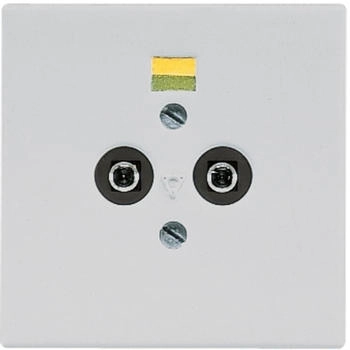 Jung LS965-2LG Potentialausgleich-Steckdose Lichtgrau Serie LS