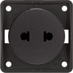 Berker 962572501 Steckdose ohne SK Euro-US Stand ITG br