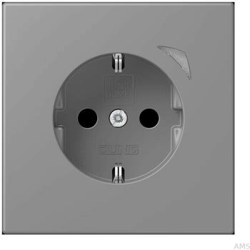 Jung SCHUKO Steckdose mit Funktionsanzeige, Safety+, Gris 31 (BTLC1521S203)