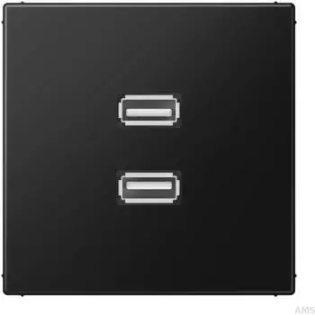 Jung Multimedia-Einsatz Serie LS 2xUSB 2.0 graphitschwarz matt
