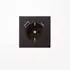 Jung SCHUKO-Steckdose LS USB-A/C 3,0 A dark
