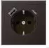 Jung SCHUKO-Steckdose LS USB-A/C 3,0 A dark