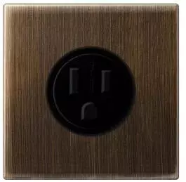 Jung Internationale Steckdose LS US NEMA 15 A messing antik