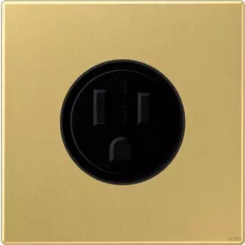 Jung Internationale Steckdose LS US NEMA 15 A messing classic
