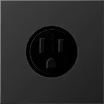 Jung Internationale Steckdose LS US NEMA 15 A dark