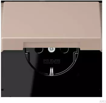 Jung SCHUKO Steckdose KI mit Klappdeckel LC32131 (LC1520BFKIKL240)