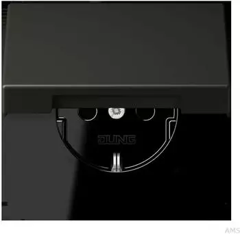 Jung LC1520BFKIKL259 SCHUKO-Steckdose mit Kinderschutz und Klappdeckel (LC1520BFKIKL259)
