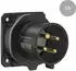 Walther-Werke FW630401CC CEE NEO Anbaugerätestecker gerade 32A 4P 1h IP54 mit Käfigzugfeder-Technik und 80x80mm Flansch
