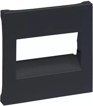 Legrand 765454 SEANO Abdeckung RJ45 f&uuml;r 1- und 2-fach Datendosen anthrazit lackiert