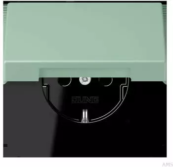 Jung LC1520BFKL217 SCHUKO-Steckdose mit Klappdeckel (LC1520BFKL217)