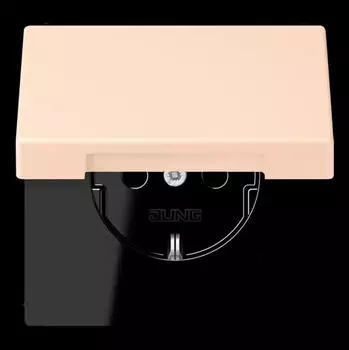 Jung SCHUKO Steckdose mit Klappdeckel, Kinderschutz, rose pale (LC1520BFKIKL228)