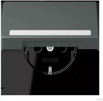 Jung LC 1520 NBFKL 202 SCHUKO Steckdose mit Klappdeckel (LC1520NBFKL202)