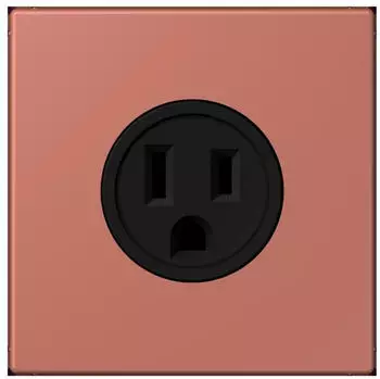 Jung LC32121 Steckdose US-Norm NEMA 15A 125V Thermoplast lackiert (LC521-15236)