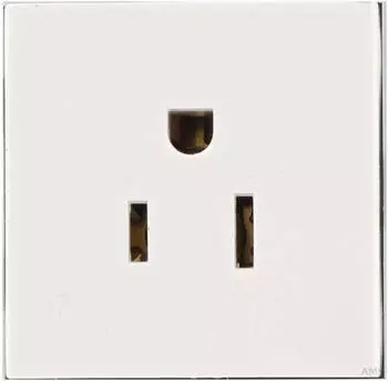 Murrelektronik Schaltschranksteckdose USA 125V AC 15A (4000-72000-0040000)