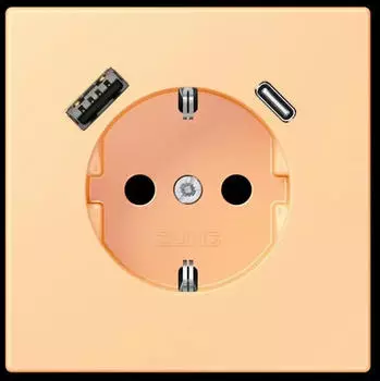 Jung LC1520-15CA258 SCHUKO-Steckdose mit USB Typ AC (LC1520-15CA258)