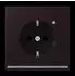 Jung SCHUKO Steckdose noir d'ivoire (LC1520-OLNW248)