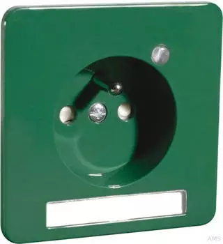 Peha SCHUKO-Steckdose mit Erdungsstift, gr&uuml;n, Beschriftungsfeld, erh&ouml;hter Ber&uuml;hrungsschutz (00483641)