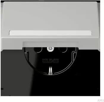 Jung LC1520BFNAKL205 SCHUKO-Steckdose KI mit Klappdeckel (LC1520BFNAKL205)