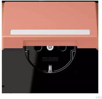 Jung LC1520BFNAKL233 SCHUKO-Steckdose KI mit Klappdeckel (LC1520BFNAKL233)