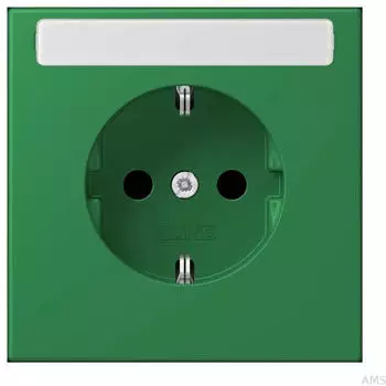Jung SCHUKO Steckdose ohne Kralle, vert fonc&eacute; (LC1520N219)