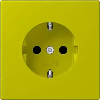 Jung LC1521249 SCHUKO-Steckdose 16A 250V Duroplast lackiert, vert olive vif (LC1521249)
