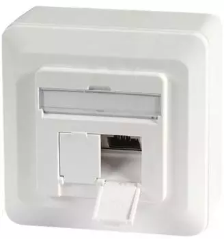 EFB-Elektronik Datendose Cat.6A 500MHz 2xRJ45, Aufputz, weiß (ET-25133AV5-R)
