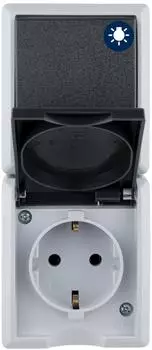 REV-Ritter AquaForm Aufputz-Kombi Schalter/Steckdose IP44, grau (510241555)