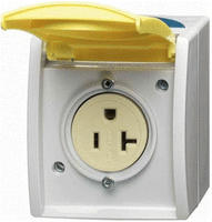 Busch-Jaeger Einsatz Nema-Steckdose Zinkgelb, Gelb 2CKA002124A0024 1St.