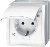 Busch-Jaeger 2CKA002083A0831, Busch-Jaeger 20 EWN-54 SCHUKO Steckdose mit Klappdeckel