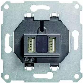 Gira USB-Steckdoseneinsatz 2-fach (235900)